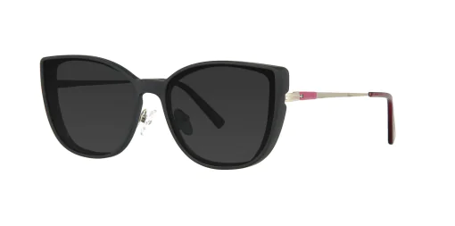 CLIP-ON sun cover 48381C2