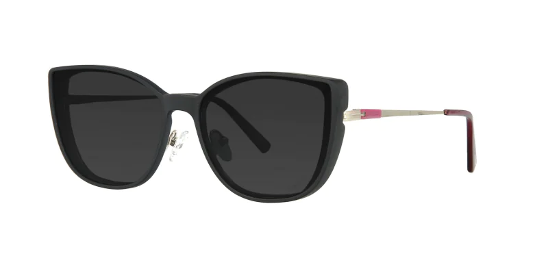 CLIP-ON sun cover 48381C2