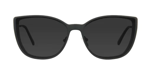 CLIP-ON sun cover 48381C4