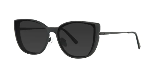 CLIP-ON sun cover 48381C4