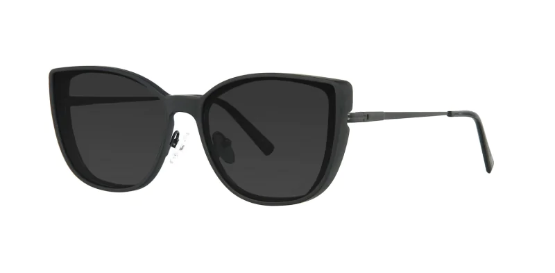 CLIP-ON sun cover 48381C4