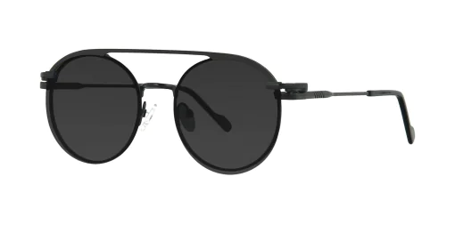 CLIP-ON sun cover 48383C2