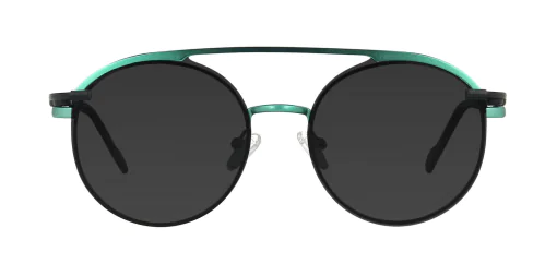 CLIP-ON sun cover 48383C4