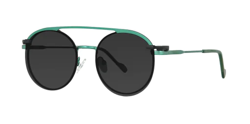 CLIP-ON sun cover 48383C4