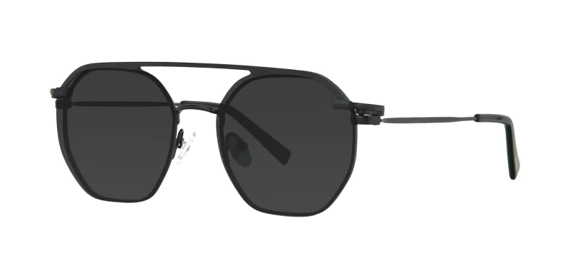 CLIP-ON sun cover 48385C2