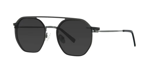 CLIP-ON sun cover 48385C3