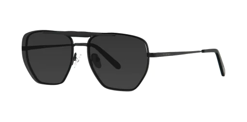 CLIP-ON sun cover 48386C1