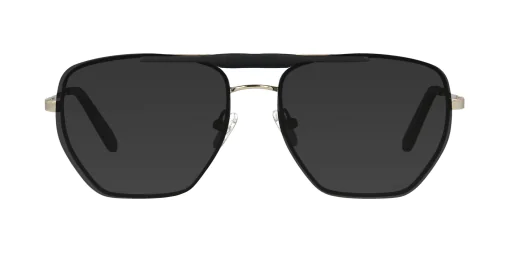 CLIP-ON sun cover 48386C2