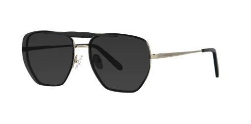 CLIP-ON sun cover 48386C2