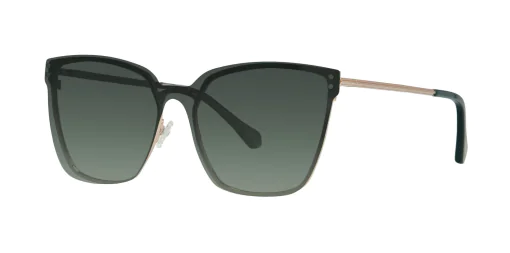 CLIP-ON sun cover 48415C3