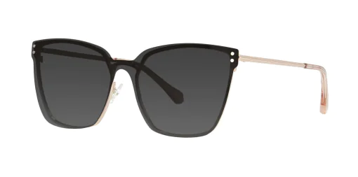 CLIP-ON sun cover 48415C1