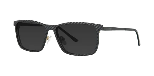 CLIP-ON sun cover 48378C1