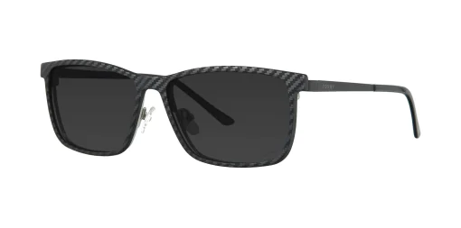 CLIP-ON sun cover 48378C2