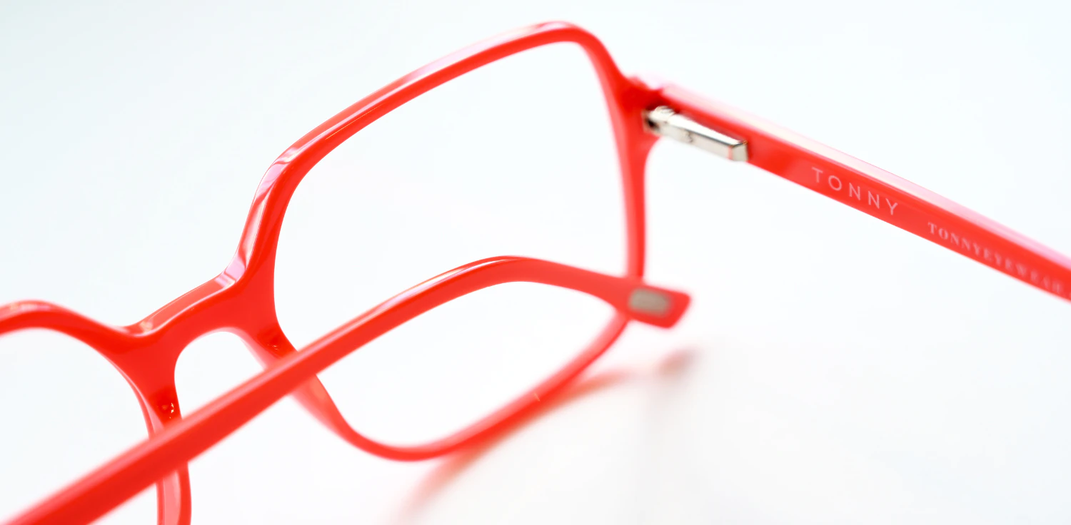 Optical frame TONNY 48458C3