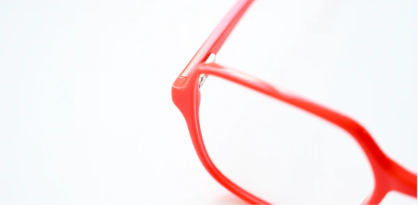 Optical frame TONNY 48458C3