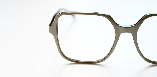 Optical frame TONNY 48458C2