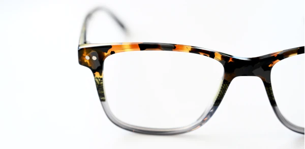 Optical frame TONNY 48471C1-CL