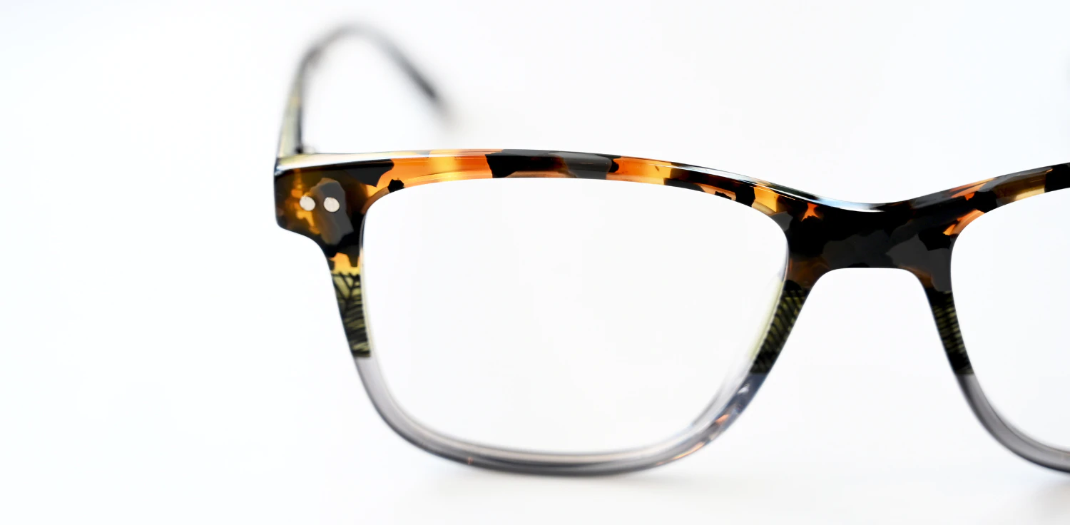 Optical frame TONNY 48471C1-CL