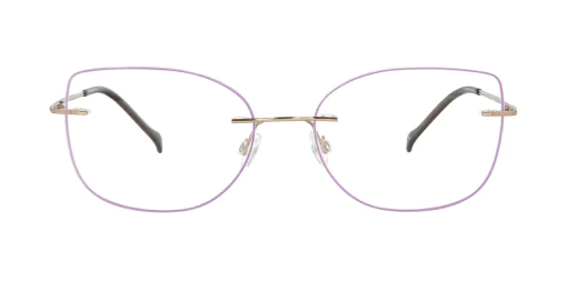 Optical frame TONNY Titanium 239C3