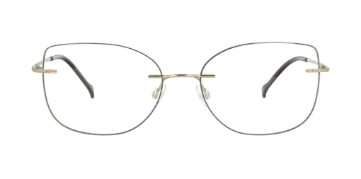 Optical frame TONNY Titanium 239C4