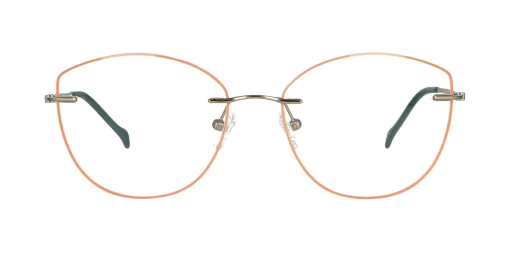 Optical frame TONNY Titanium 242C4