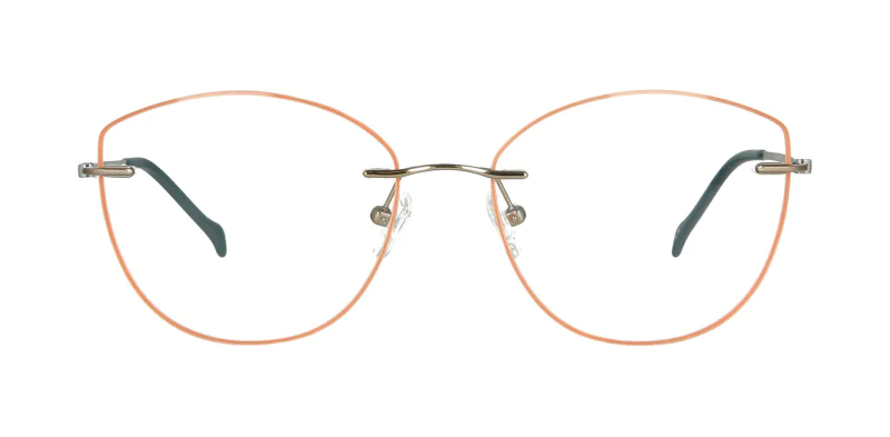 Optical frame TONNY Titanium 242C4