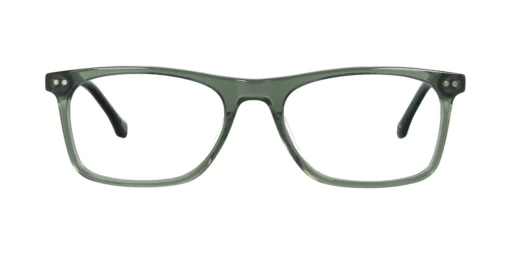 Optical frame TONNY 44029C3-CL