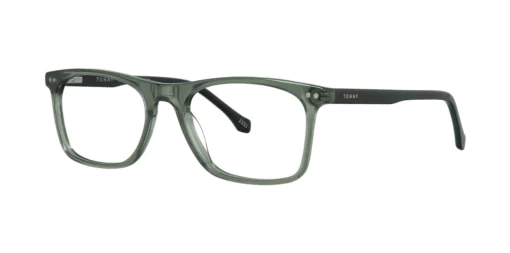 Optical frame TONNY 44029C3-CL
