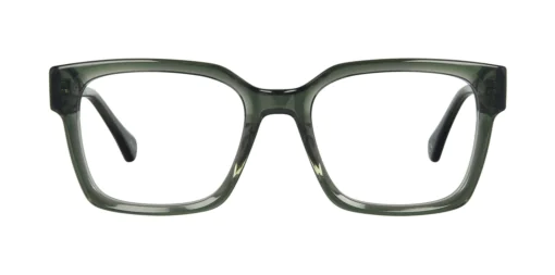 Optical frame TONNY 44041C2