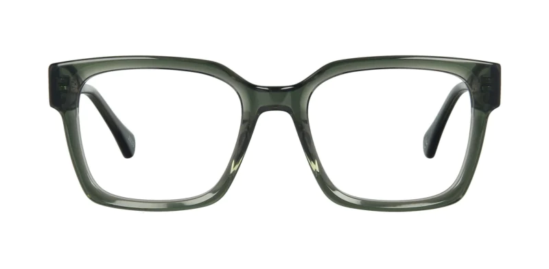 Optical frame TONNY 44041C2