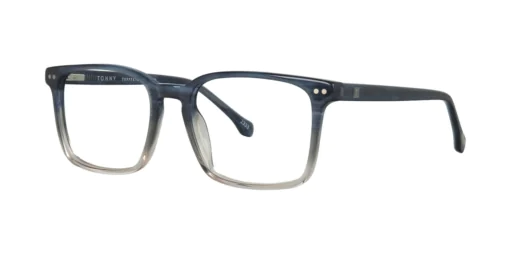 Optical frame TONNY 48469C2-CL