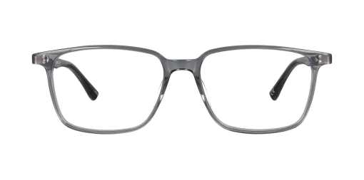 Optical frame TONNY 48356C6