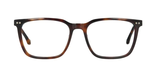 Optical frame TONNY 44030C4-CL