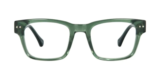 Optical frame TONNY 48448C1-CL