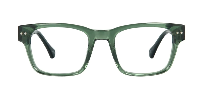 Optical frame TONNY 48448C1-CL