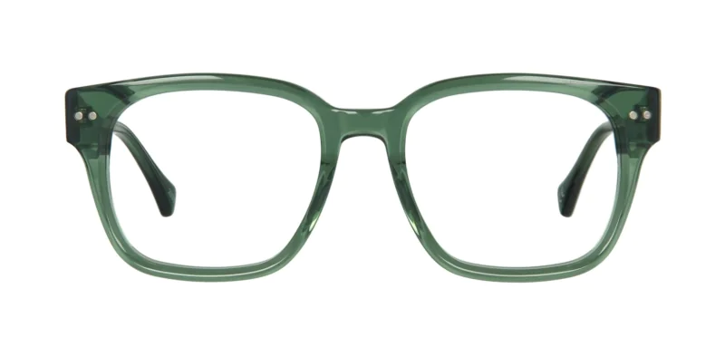 Optical frame TONNY 48446AC1-CL