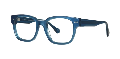 Optical frame TONNY 48446C2-CL