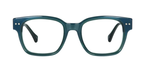 Optical frame TONNY 48446C3-CL