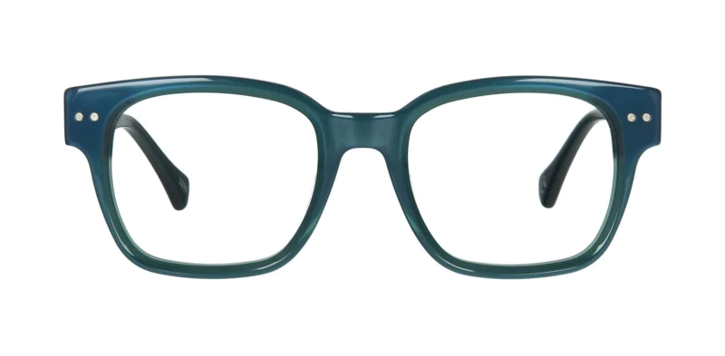 Optical frame TONNY 48446C3-CL