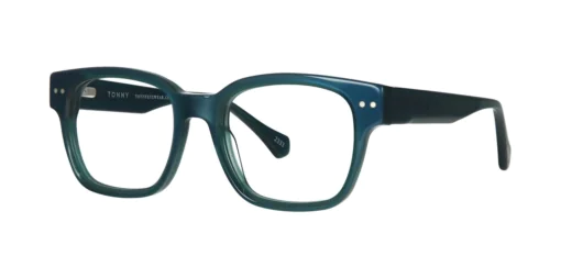 Optical frame TONNY 48446C3-CL