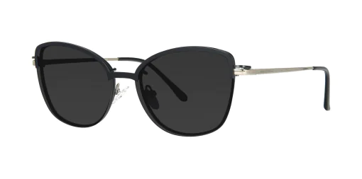 CLIP-ON sun cover 48382C4