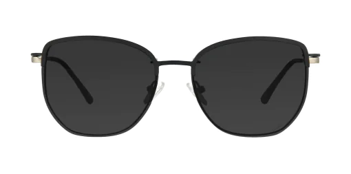 CLIP-ON sun cover 48387C4