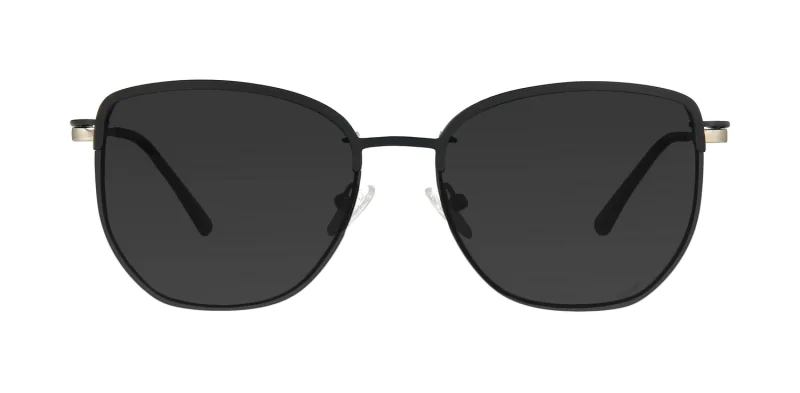 CLIP-ON sun cover 48387C4