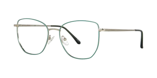 Optical frame with clip-on TONNY 48387C5-CL1