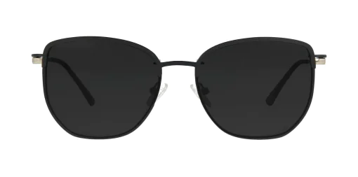 CLIP-ON sun cover 48387C5