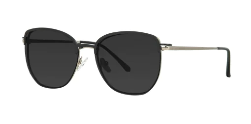 CLIP-ON sun cover 48387C5