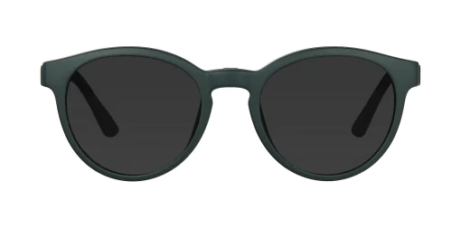 CLIP-ON sun cover 48388C4