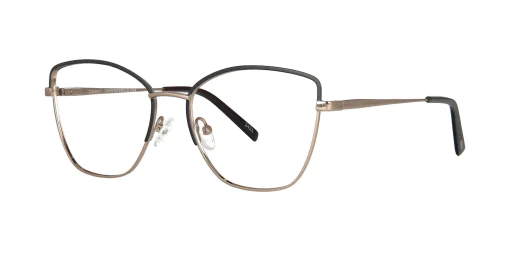Optical frame with clip-on TONNY 48361C5-CL1