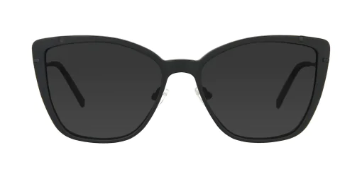 CLIP-ON sun cover 48361C6