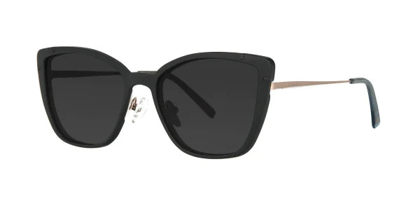 CLIP-ON sun cover 48361C6